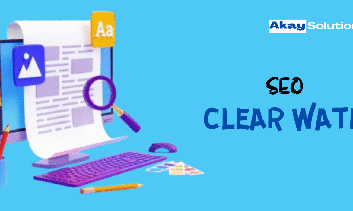 SEO Clear Water