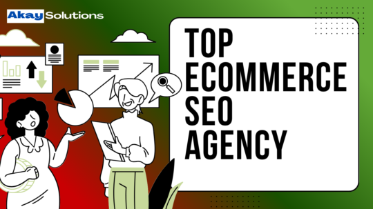 Top Ecommerce SEO Agency Guide